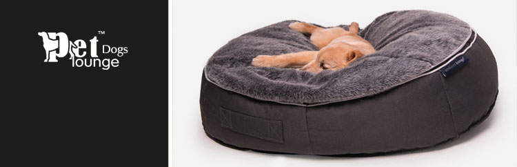 Amazon.com : Large Human Dog Bed Bean Bag Bed for Humans Giant Beanbag Dog  Bed with Blanket for People, Families, Pets,72