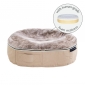 Medium Rebound Foam Mattress Dog Bed (Cappuccino)