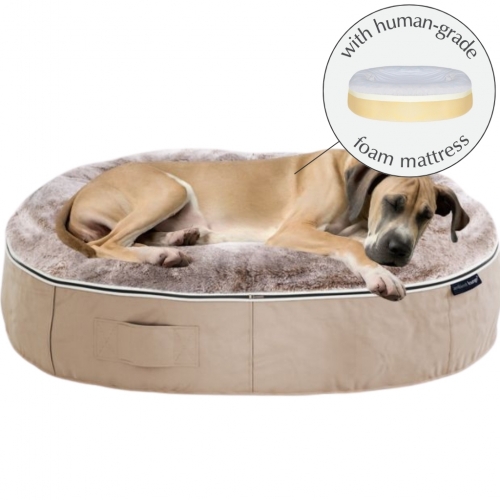 XXL Rebound Foam Mattress Dog Bed (Cappuccino) *pre-order*